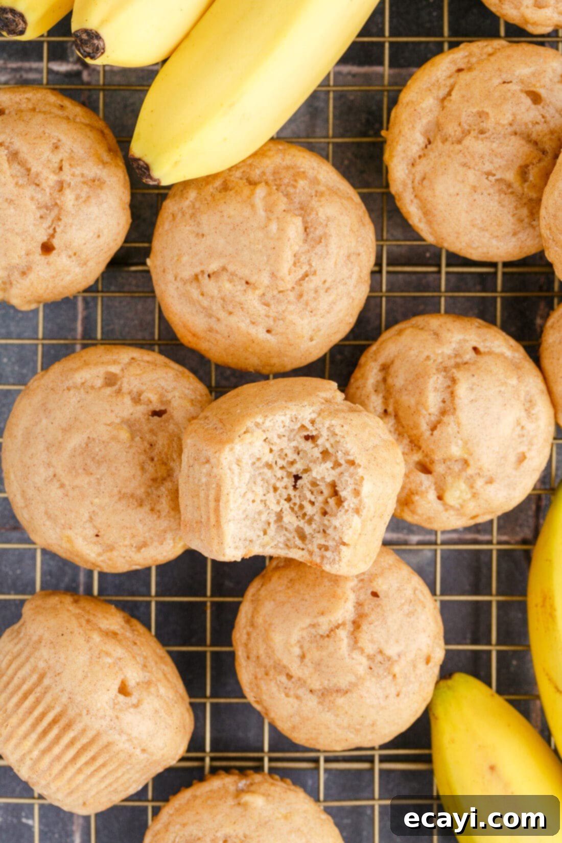 Golden Banana Muffins 12 Banana Muffins - one with a bite taken out, showing its moist and tender interior