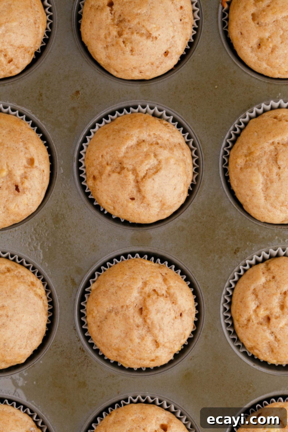 Golden Banana Muffins 3 pan of freshly baked Banana Muffins, golden brown and ready to be enjoyed