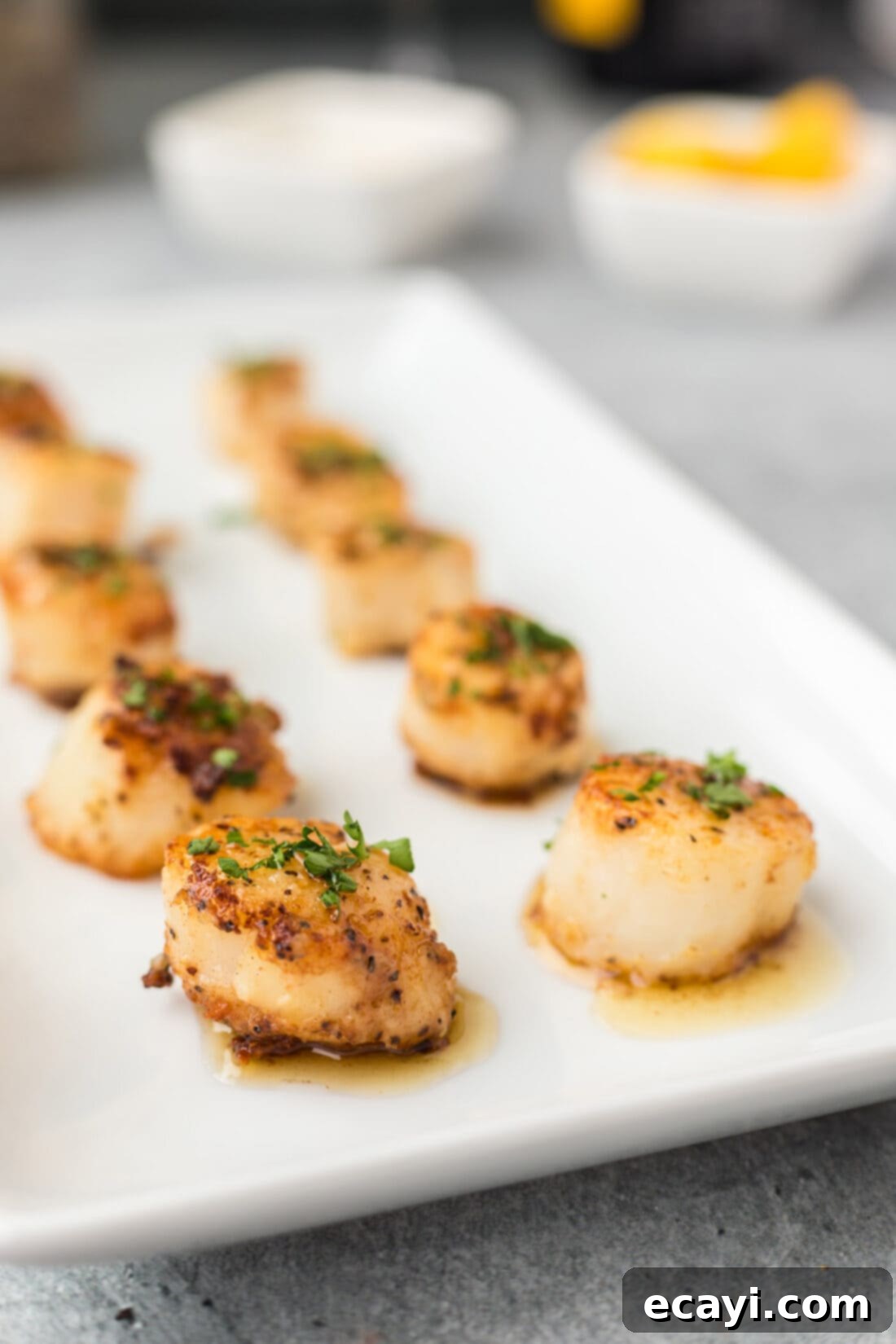 Succulent Pan Seared Scallops 8 Pan Seared Scallops on a platter