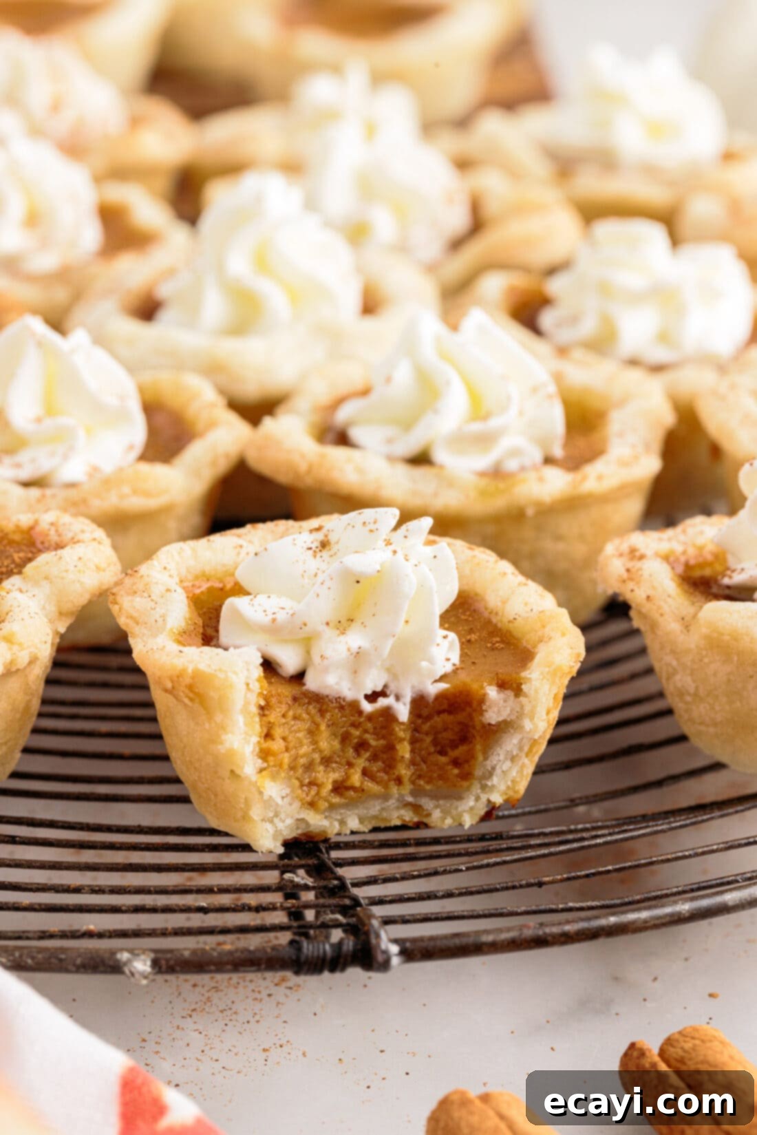 Pumpkin Pie Bites 2 bite out of a Mini Pumpkin Pie, showing flaky crust and creamy filling