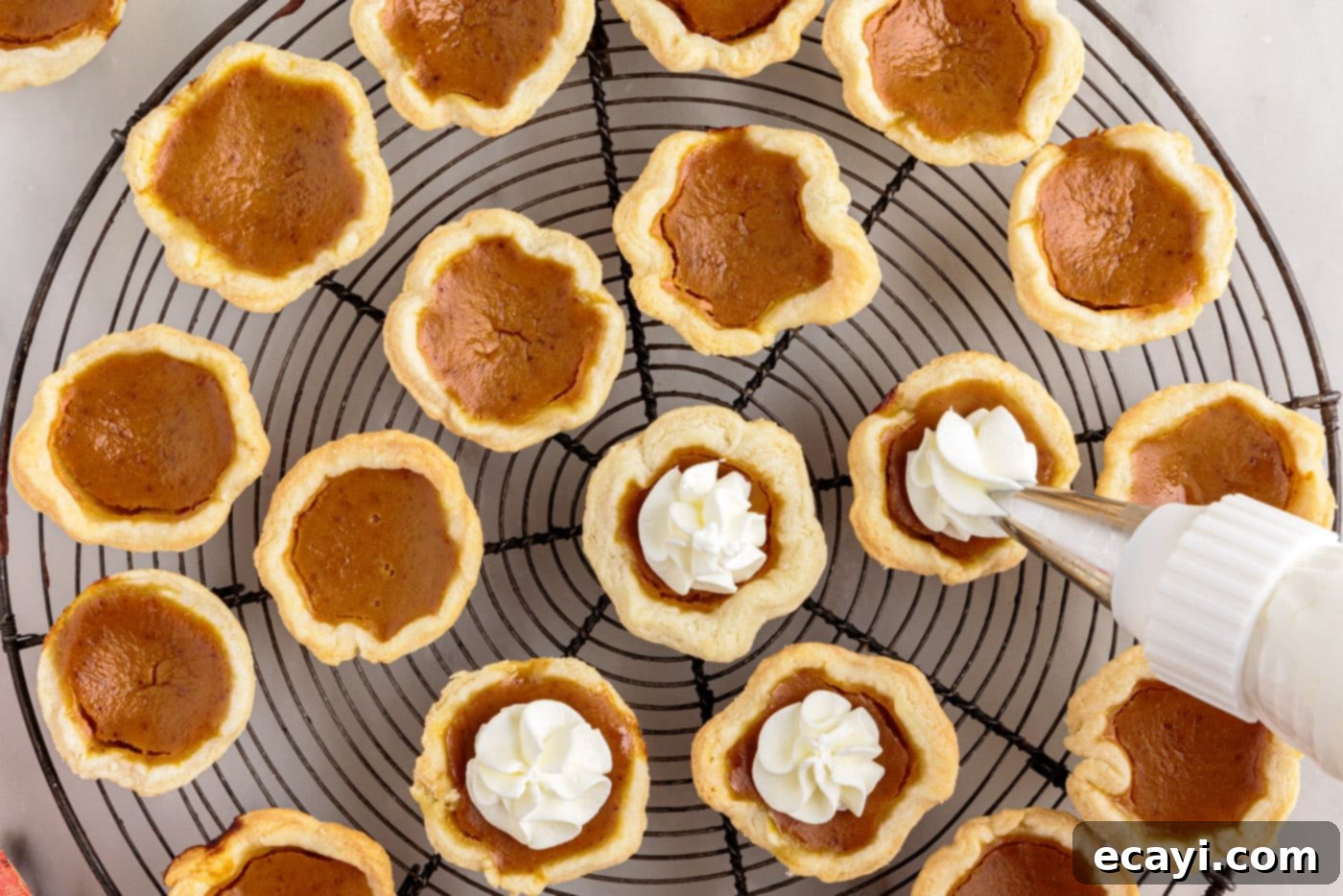 Pumpkin Pie Bites 16 piping whipped cream on top of mini pumpkin pies