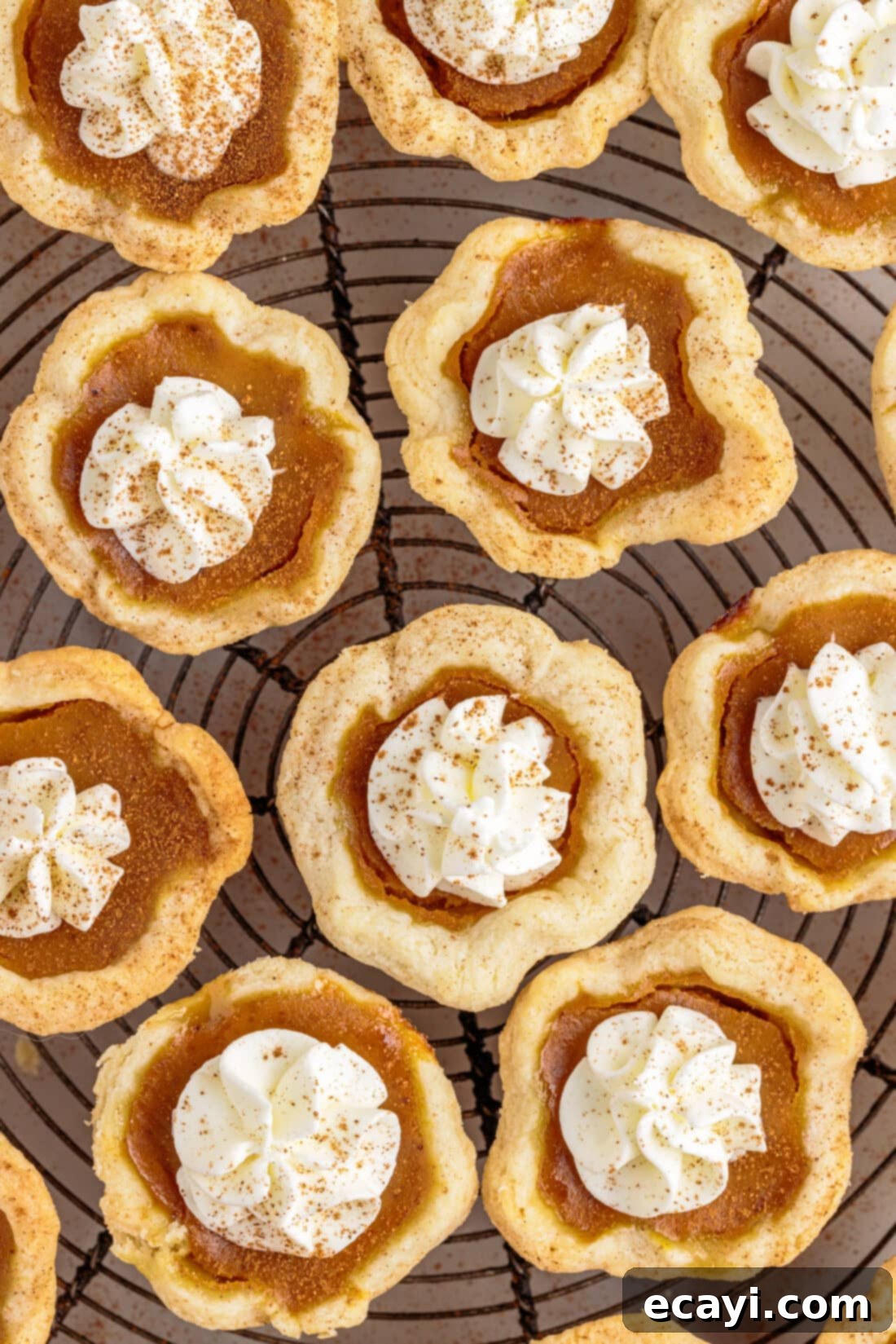 Pumpkin Pie Bites 3 Mini Pumpkin Pies cooling on a wire rack