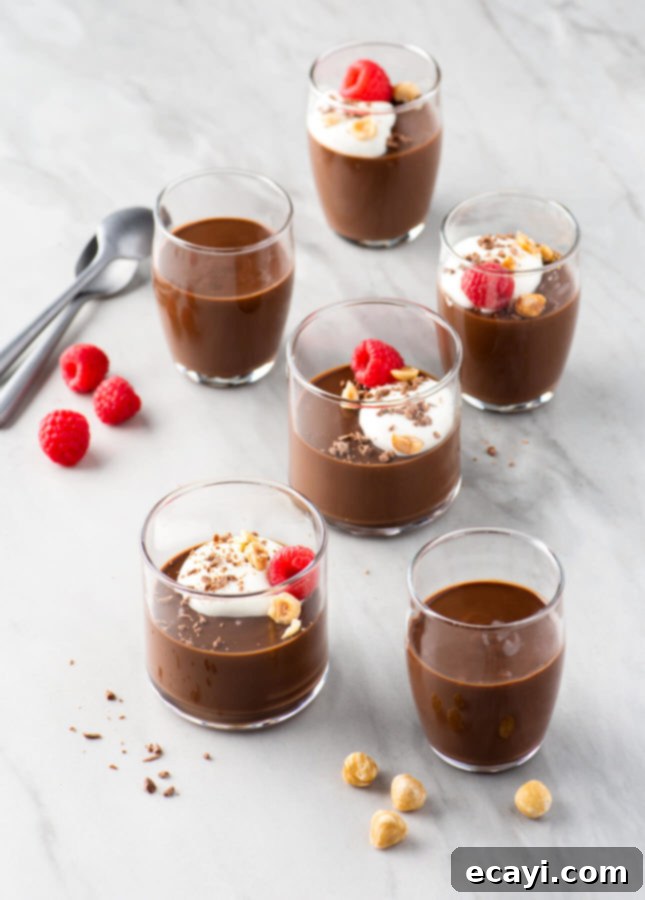 Decadent Chocolate Hazelnut Custards 2 Rich Chocolate Hazelnut Pots de Crème, an elegant dessert