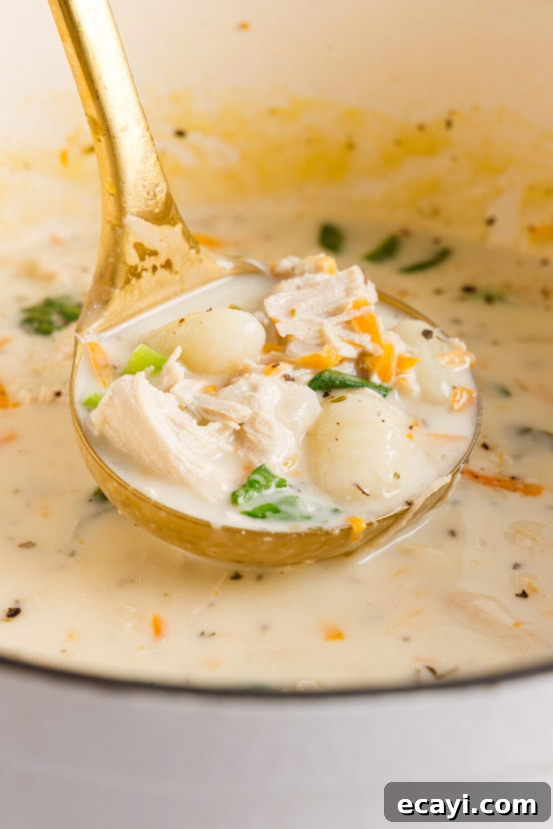 Creamy Gnocchi Chicken Bliss 2 ladel of Chicken Gnocchi Soup