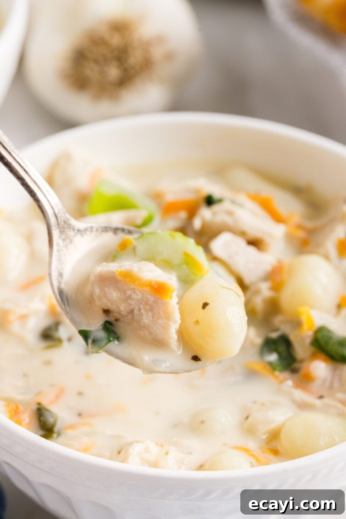 Creamy Gnocchi Chicken Bliss 12 bowl of Chicken Gnocchi Soup