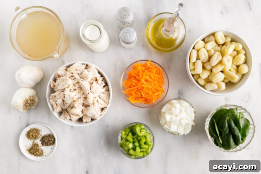 Creamy Gnocchi Chicken Bliss 4 ingredients for Chicken Gnocchi Soup