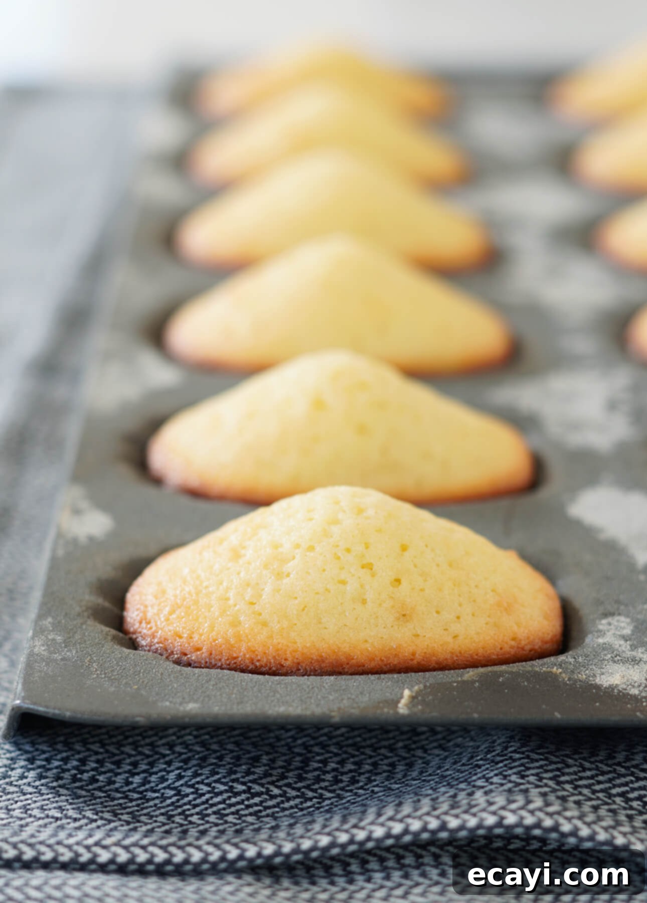 Aromatic Orange Maple Shells 5 Perfect humps on classic madeleines // FoodNouveau.com