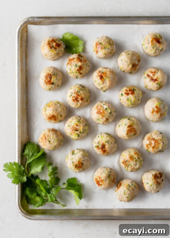 The Only Baked Turkey Meatballs You Need 3 Super Versatile Baked Turkey Meatballs // FoodNouveau.com