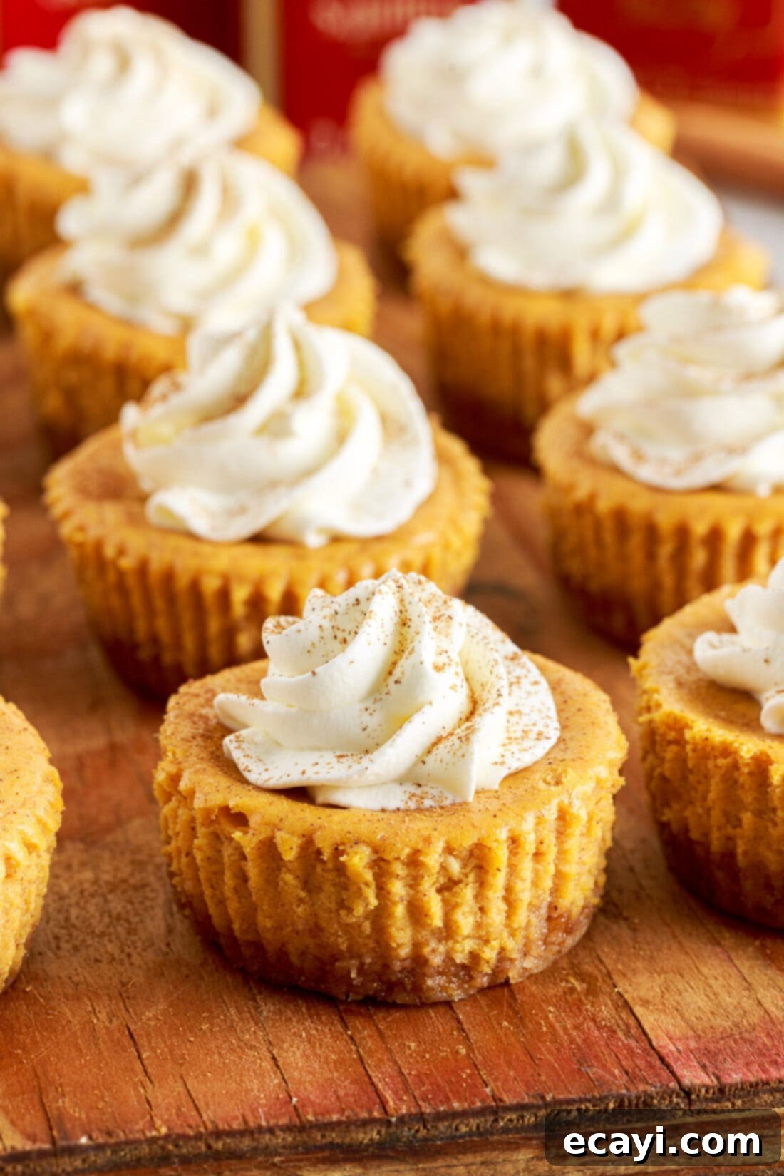 Spiced Mini Pumpkin Cheesecakes 2 Delicious Mini Pumpkin Cheesecakes ready for serving on a cutting board, garnished with whipped cream and a sprinkle of pumpkin pie spice.
