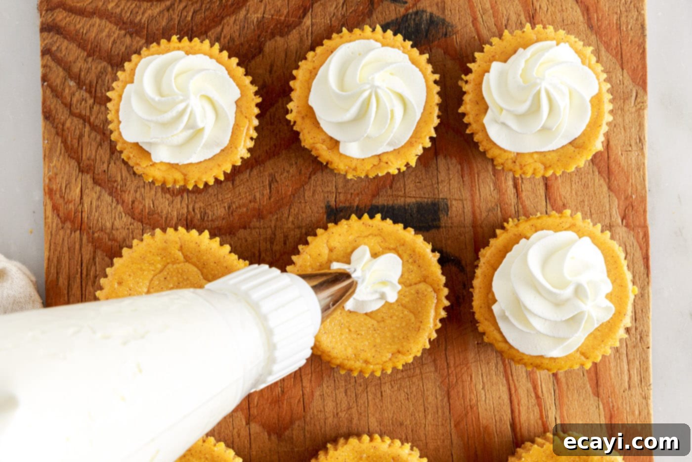 Spiced Mini Pumpkin Cheesecakes 13 piping whipped cream on top of mini pumpkin cheesecakes
