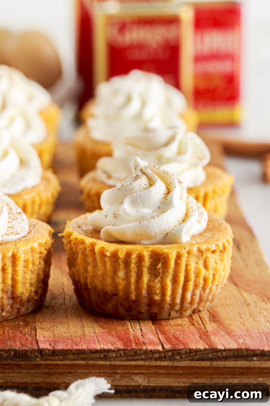 Spiced Mini Pumpkin Cheesecakes 3 Close-up of Mini Pumpkin Cheesecakes topped with piped whipped cream, ready to be served for fall celebrations.