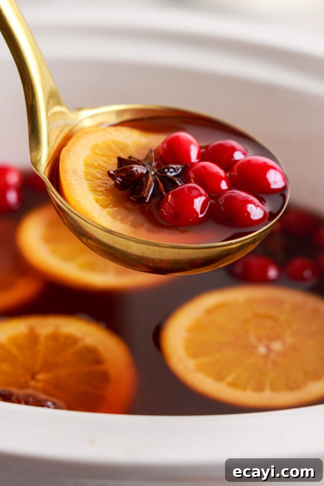 Mulled Cranberry Cheer 3 ladle full of Hot Cranberry Punch ready to be served, garnished with fresh cranberries and orange slices