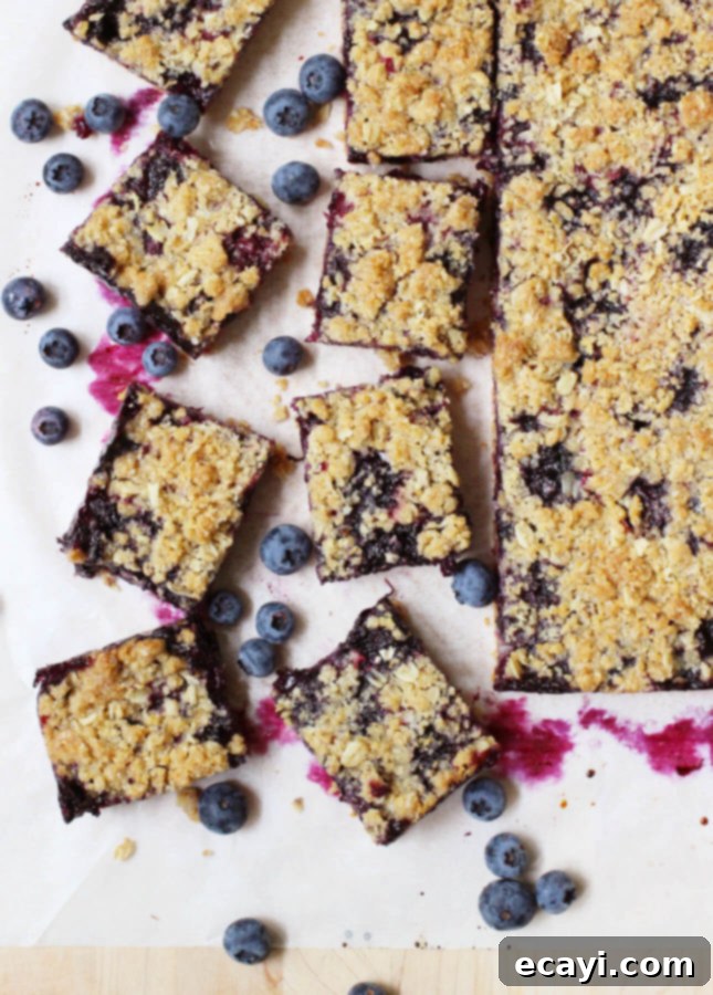 Homestyle Blueberry Oat Bars 2 Homemade Oats and Blueberry Crumb Bars, perfect for a healthy snack or dessert // FoodNouveau.com