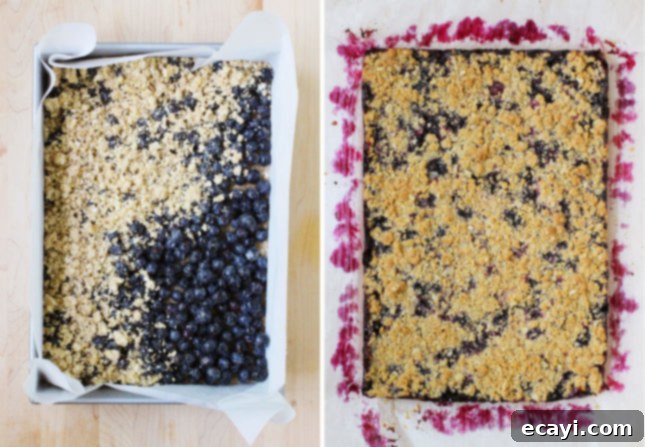 Homestyle Blueberry Oat Bars 5 Close-up of baked Oats and Blueberry Crumb Bars, ready to be served // FoodNouveau.com
