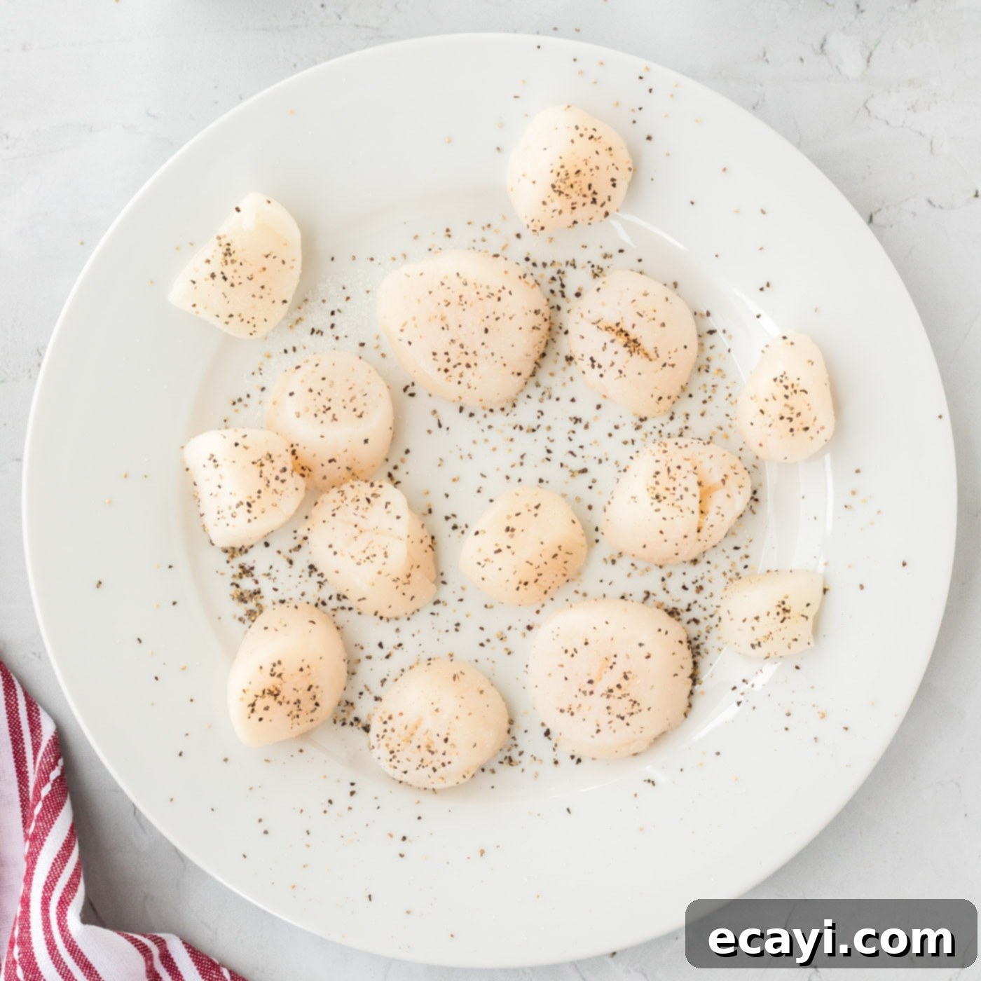 Creamy Lemon Scallop Pasta 5 scallops seasoned with salt and pepper