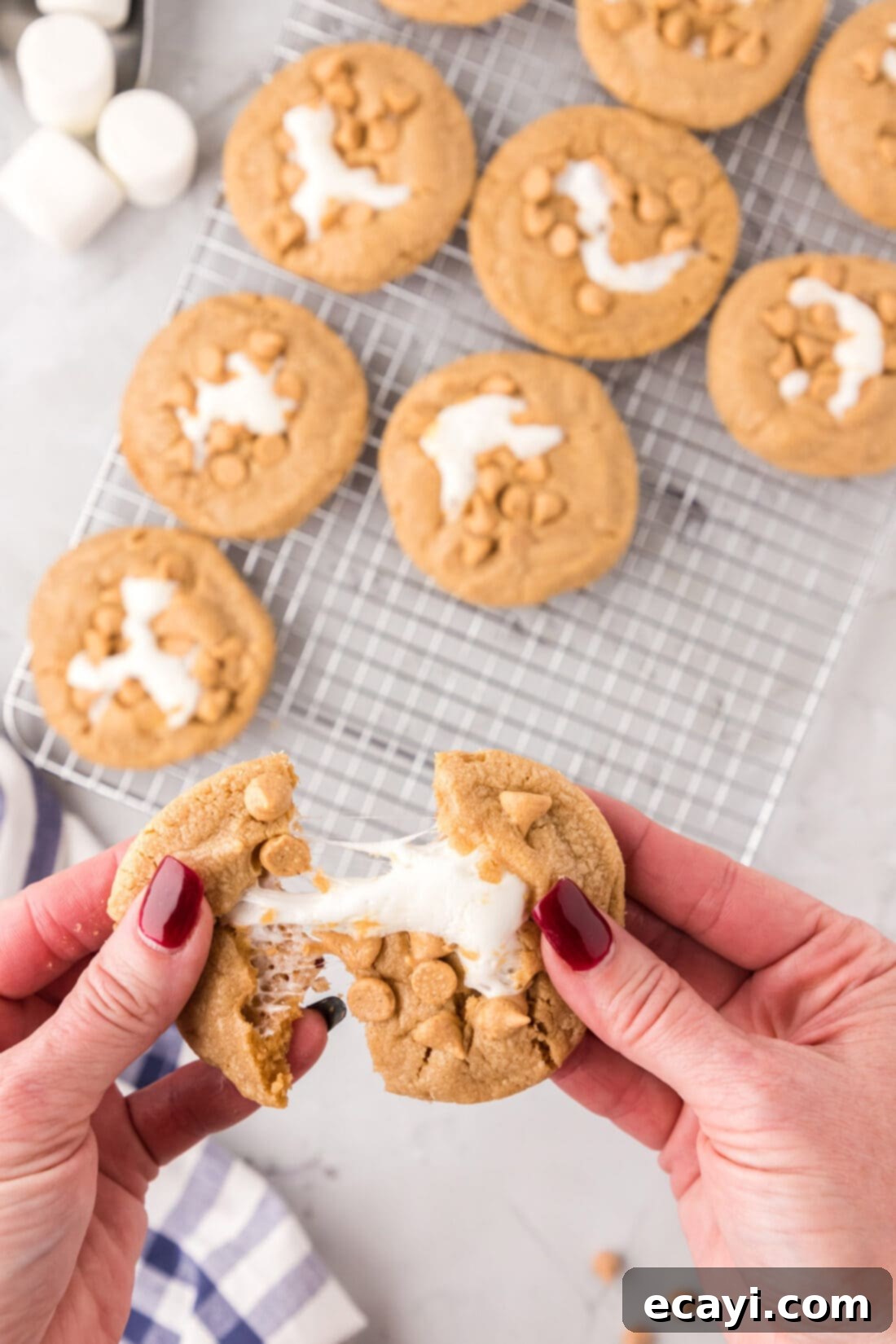 Sweet & Salty Fluffernutter Delights 3 pulling a Fluffernutter Cookie apart, revealing a gooey, melted marshmallow center