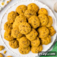 Spiced Pumpkin Cinnamon Chip Cookies 14 Close up photo of a plate of moist Pumpkin Cinnamon Chip Cookies, highlighting their soft texture and delightful cinnamon chips.
