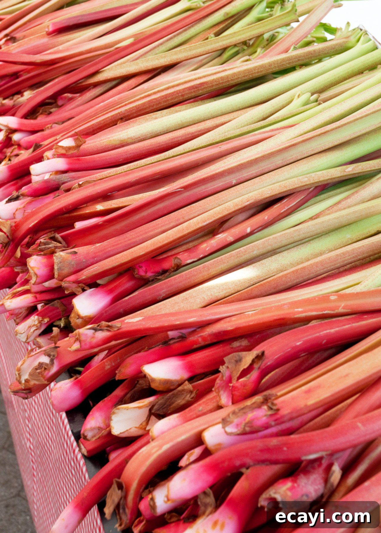 Honeyed Strawberry Rhubarb Loaf 5 Fresh rhubarb stalks at the market // FoodNouveau.com