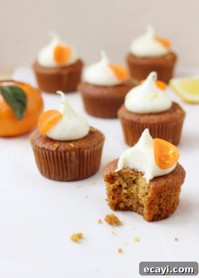 Sun-Kissed Orange Carrot Cupcakes with Tangy Cream Cheese Topping 4 Hand-decorated Orange and Carrot Cupcakes with citrus zest garnish // FoodNouveau.com