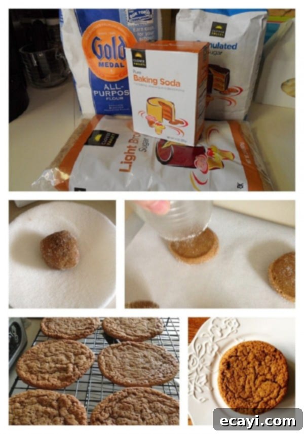 Sugar Topped Molasses Spice Cookies - AmandasCookin.com Sugar Topped Molasses Spice Cookies - AmandasCookin.com