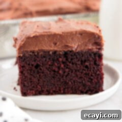 Velvet Moisture Cake 14 slice of chocolate Mayonnaise Cake with rich chocolate frosting