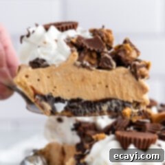 Peanut Butter Perfection Pie 19 xReeses Pie slice