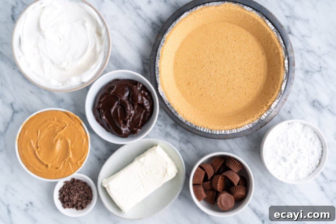 Peanut Butter Perfection Pie 4 A flat lay of all the fresh ingredients meticulously arranged for making the Reese's Pie.