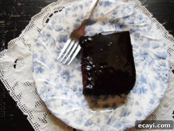 Homemade Chocolate Prune Cakes Overhead shot of two chocolate prune cakes, one frosted, showcasing the rich brown color and texture of the cakes