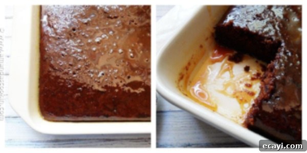 Classic Spiced Prune Cake Traditional prune cake with a caramel glaze, prior to the chocolate addition