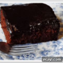 Velvet Plum Chocolate Cake 2 A close up photo of a serving of chocolate prune cake resting on a plate.