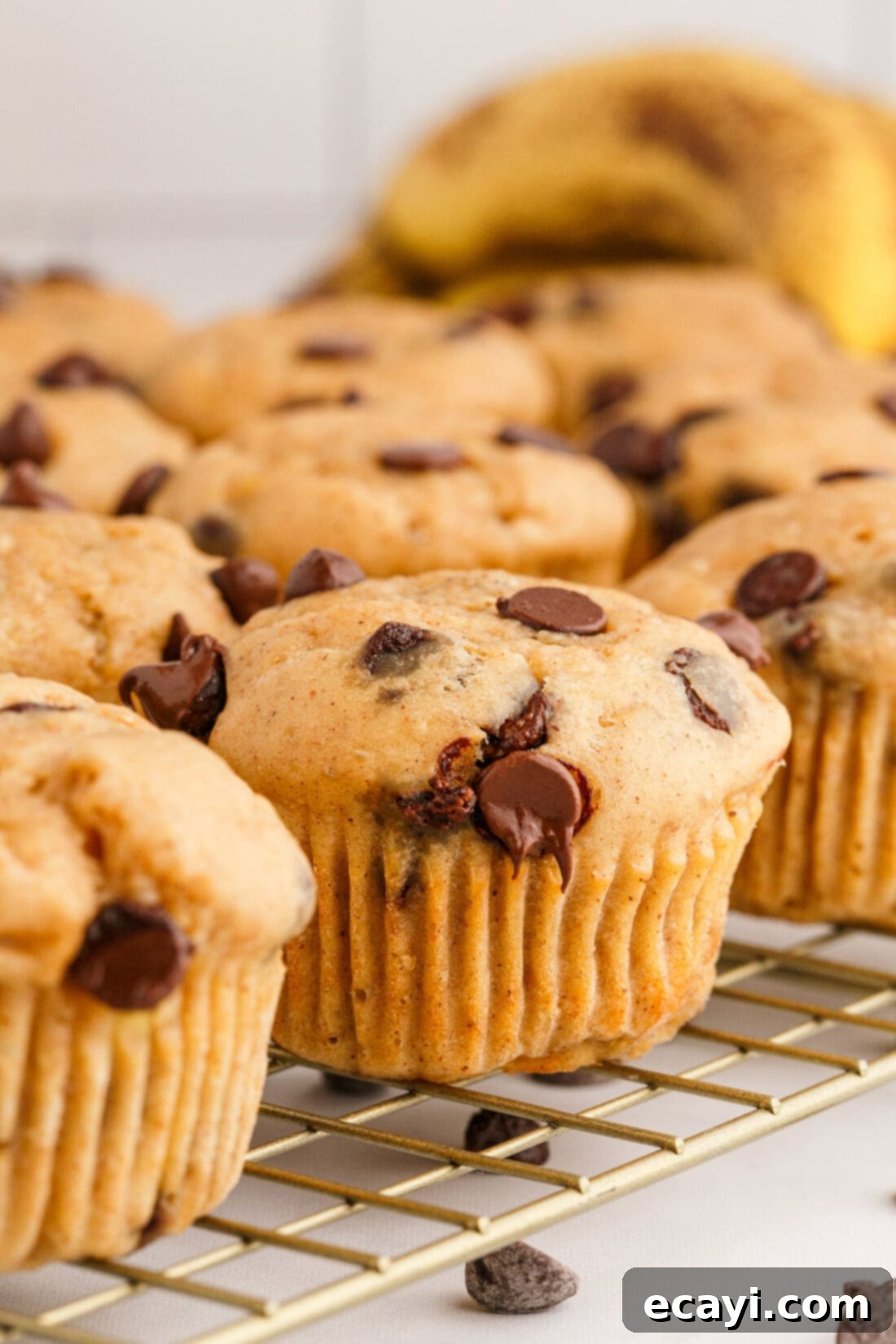Banana Bliss with Chocolate Chips 2 Chocolate Chip Banana Muffins on a wire rack