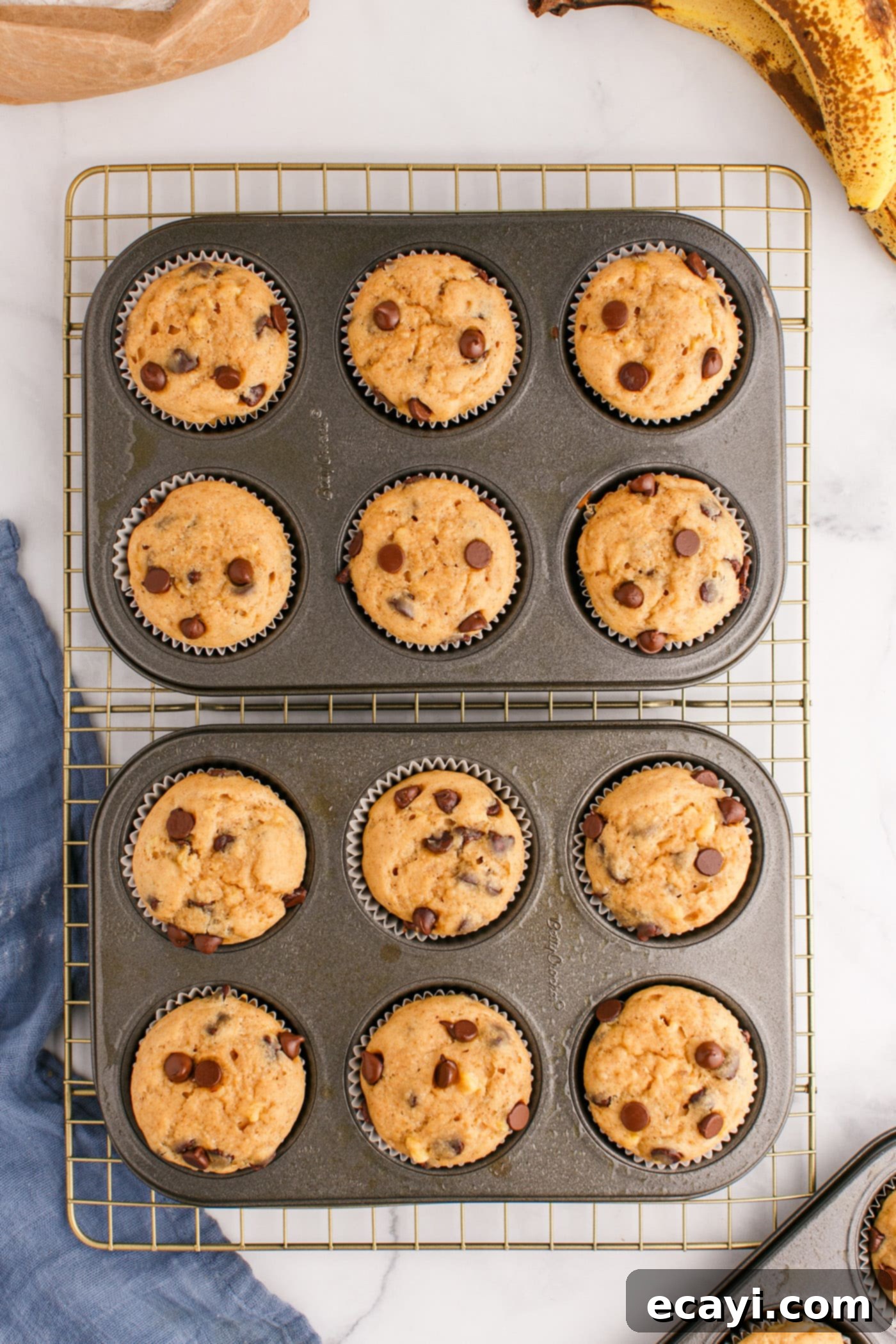 Banana Bliss with Chocolate Chips 11 img 79806 10