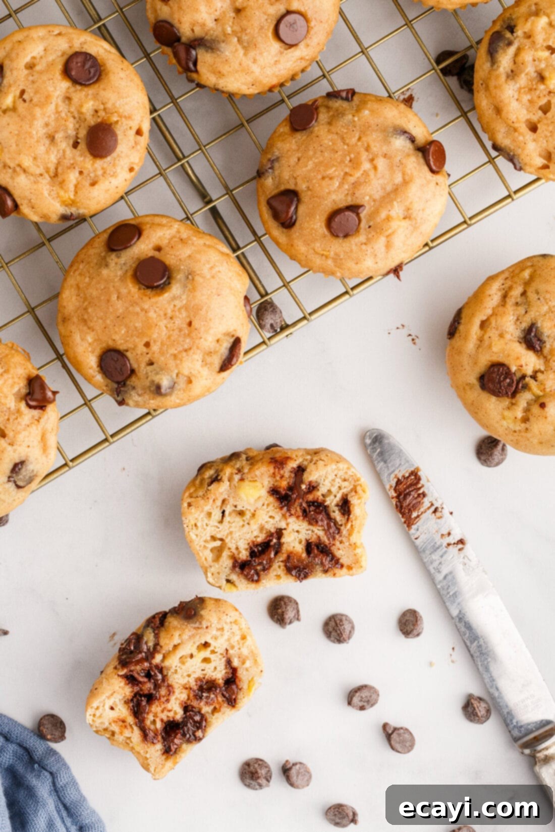 Banana Bliss with Chocolate Chips 12 Chocolate Chip Banana Muffins on a wire rack with one cut open