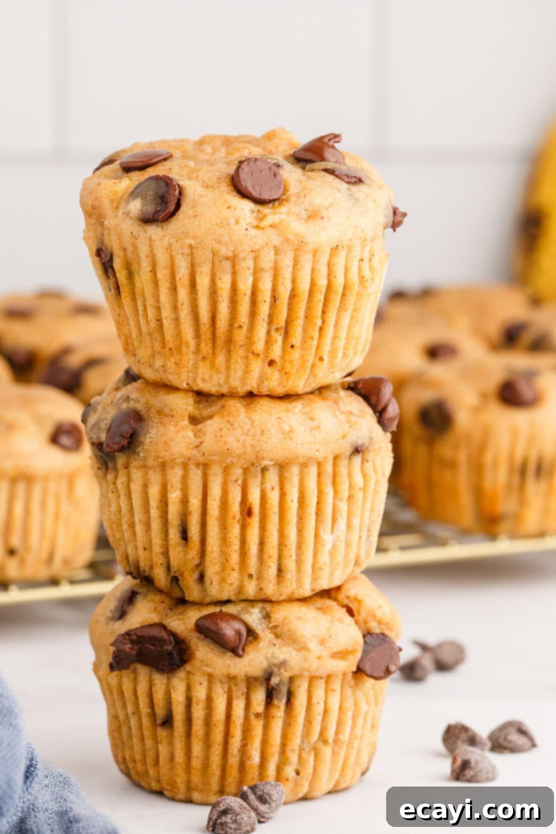 Banana Bliss with Chocolate Chips 3 Stacked Chocolate Chip Banana Muffins