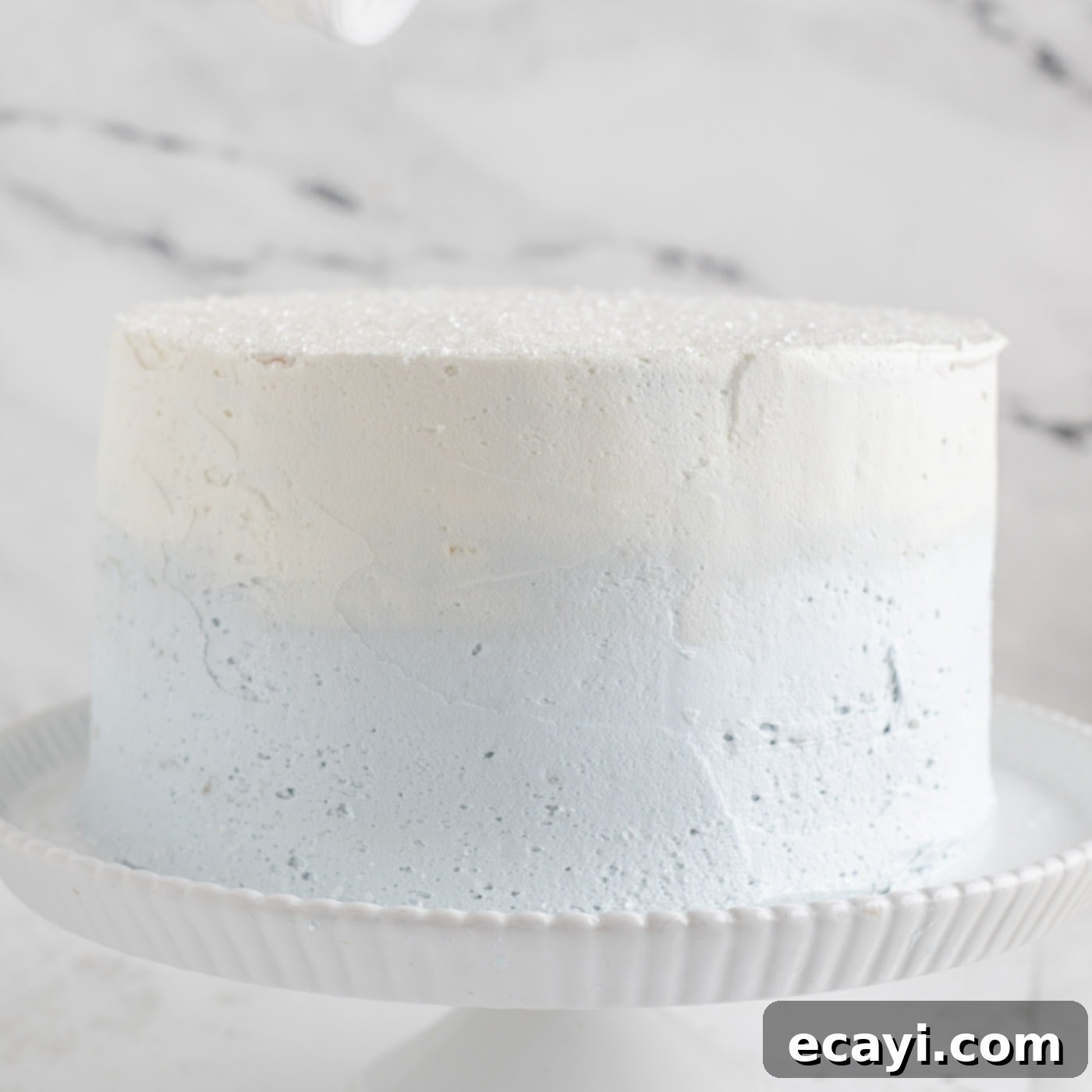 Crystalline Dream Cake 22 The frosted snowflake cake with sugar crystals, ready for snowflake decorations.