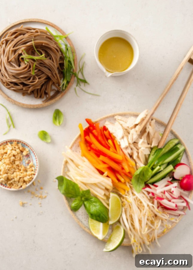 Easy DIY Noodle Salad 3 Colorful and Easy Asian Noodle Salad Ready to Serve