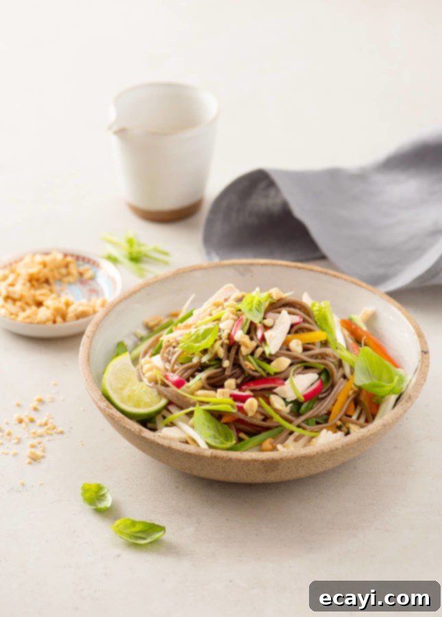 Easy DIY Noodle Salad 4 Freshly Prepared Build-Your-Own Asian Noodle Salad