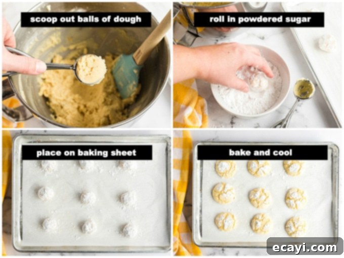 Sun-Kissed Orange Crinkles 3 Hands rolling a ball of orange cookie dough in a bowl of powdered sugar, showing the coating process for crinkle cookies.