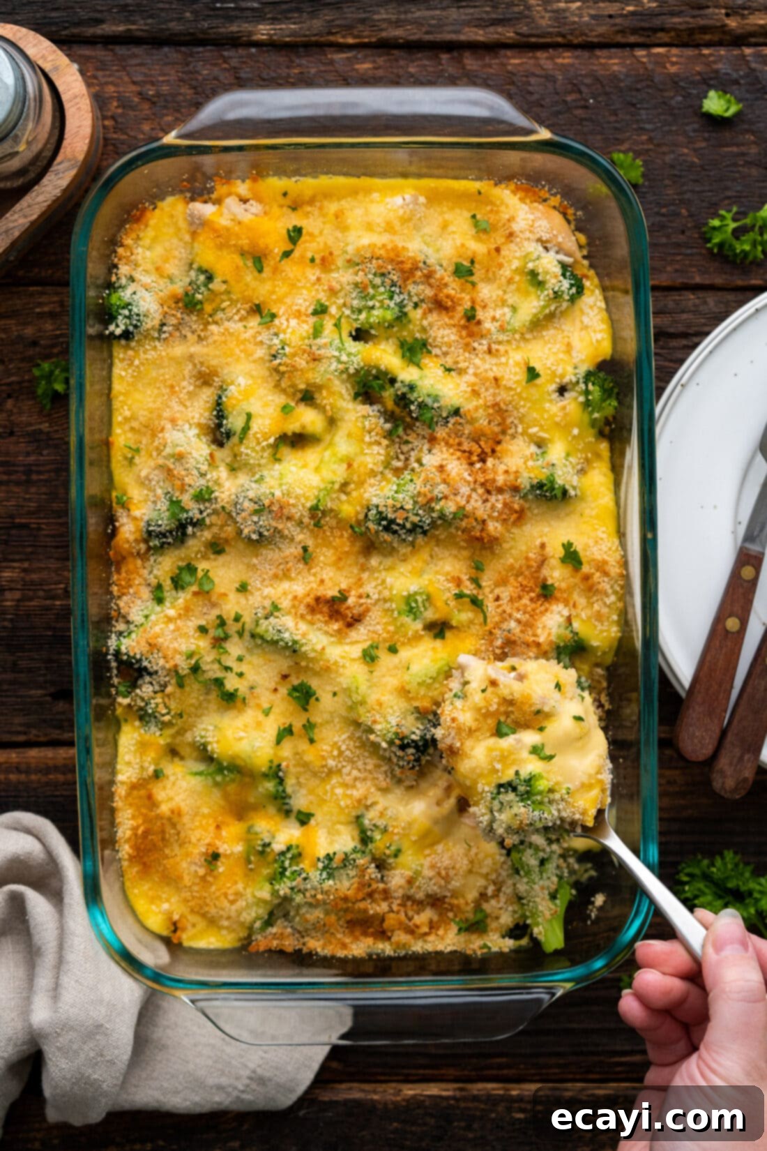 Creamy Chicken Broccoli Bake 2 pan of Chicken Divan