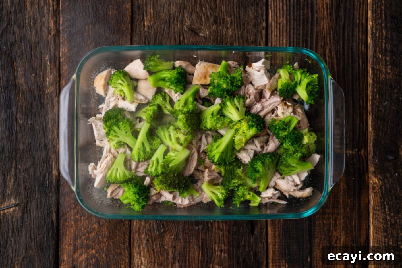 Creamy Chicken Broccoli Bake 6 broccoli on top of chicken in casserole dish