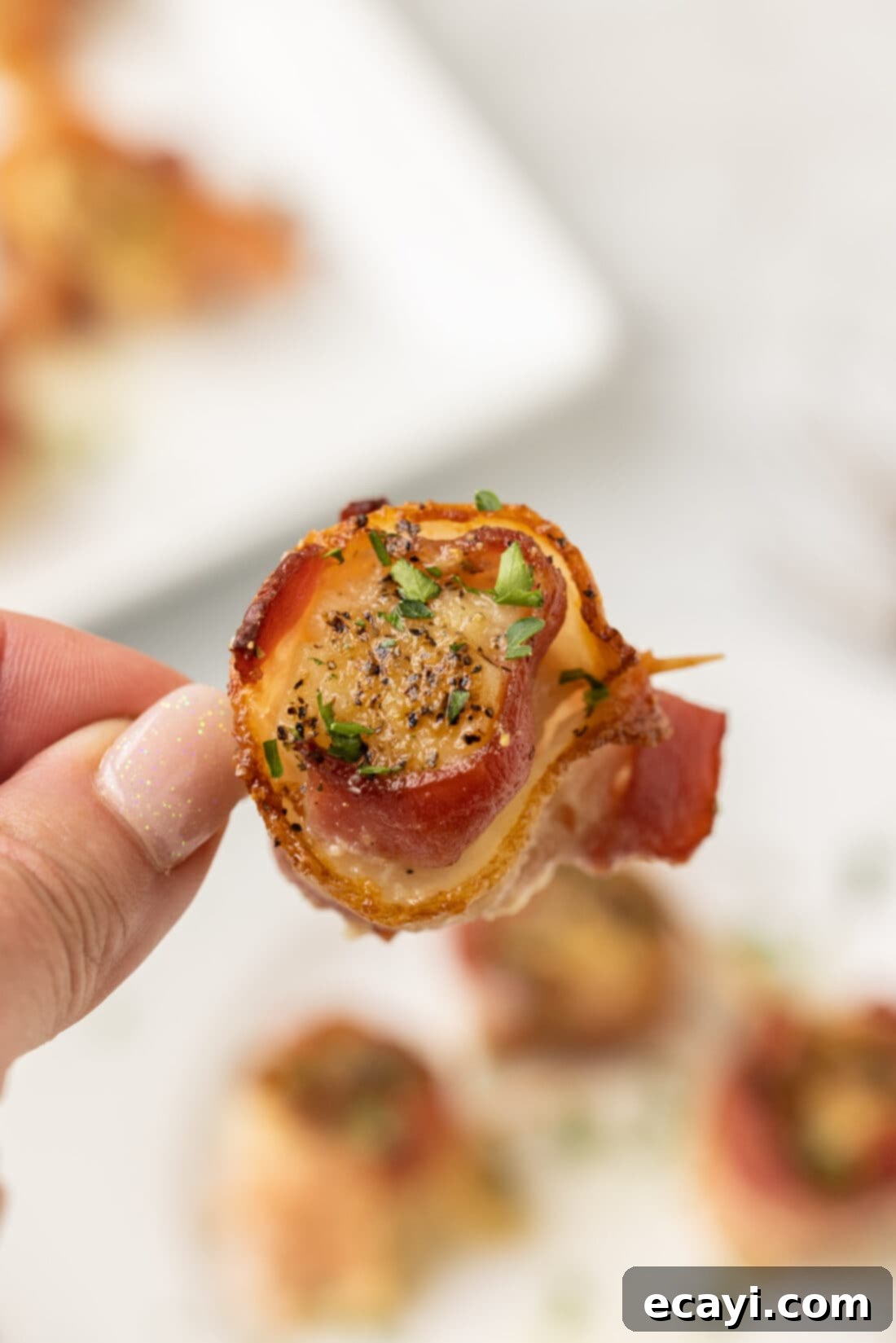 Sea Scallops Draped in Bacon 3 hand holding a Bacon Wrapped Scallop