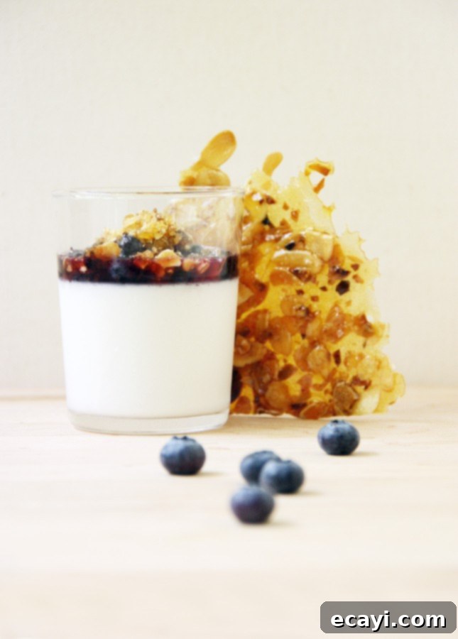 Luxurious Dairy-Free Almond Panna Cotta with Salted Praline and Macerated Blueberries 2 Dairy-Free Almond Panna Cotta with Salted Praline and Macerated Blueberries, garnished with fresh berries in a glass