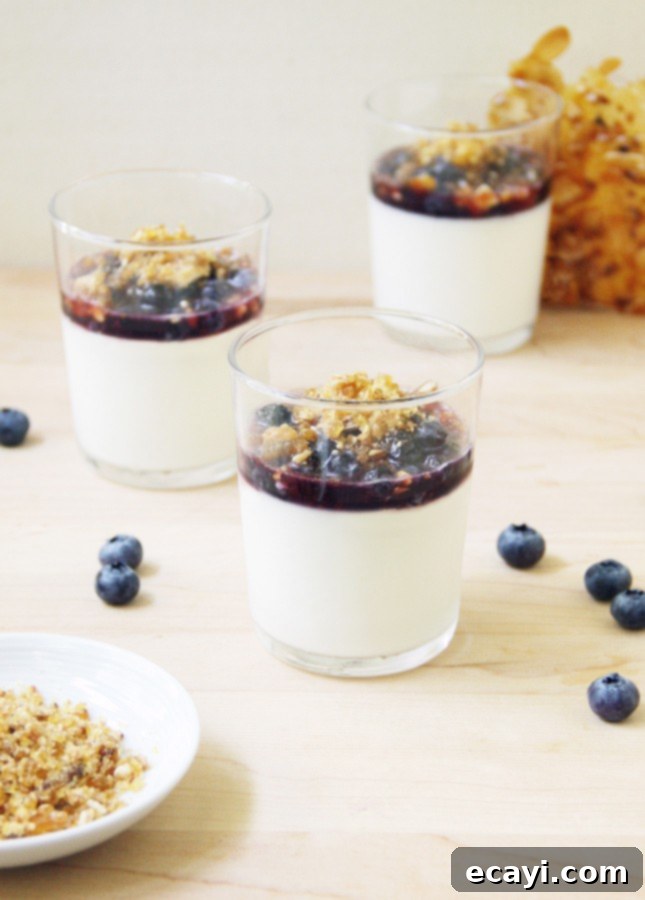Luxurious Dairy-Free Almond Panna Cotta with Salted Praline and Macerated Blueberries 4 Dairy-Free Almond Panna Cotta with Salted Praline and Macerated Blueberries