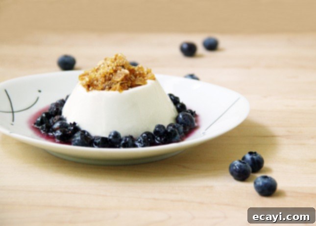 Luxurious Dairy-Free Almond Panna Cotta with Salted Praline and Macerated Blueberries 5 Unmolded Dairy-Free Almond Panna Cotta on a white plate with fresh blueberries and praline shards