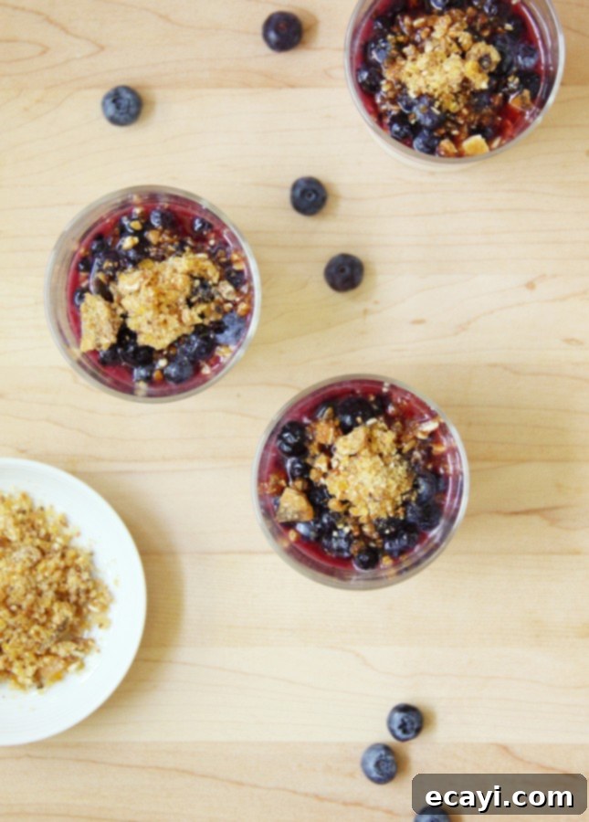 Luxurious Dairy-Free Almond Panna Cotta with Salted Praline and Macerated Blueberries 6 Top-down view of Dairy-Free Almond Panna Cotta in a glass with fresh blueberries and praline