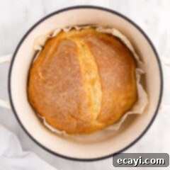 The Perfect Cast-Iron Loaf 17 Dutch Oven Bread
