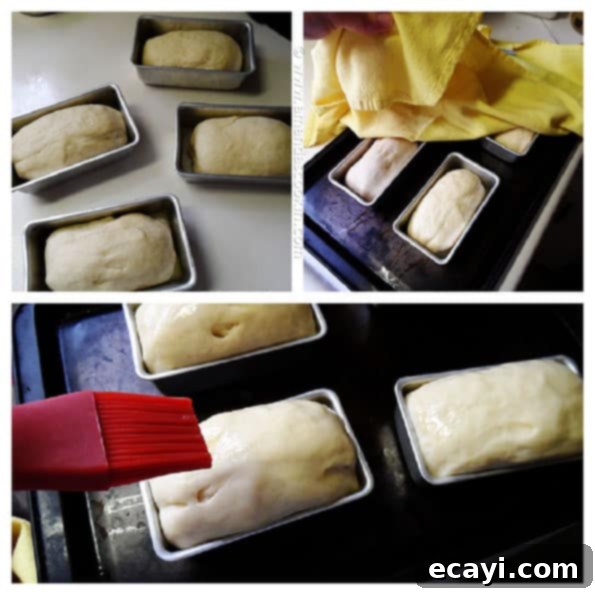 Amish White Bread Mini Loaves - AmandasCookin.com Amish White Bread Mini Loaves - AmandasCookin.com