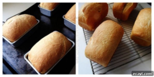 Amish White Bread Mini Loaves - AmandasCookin.com Amish White Bread Mini Loaves - AmandasCookin.com