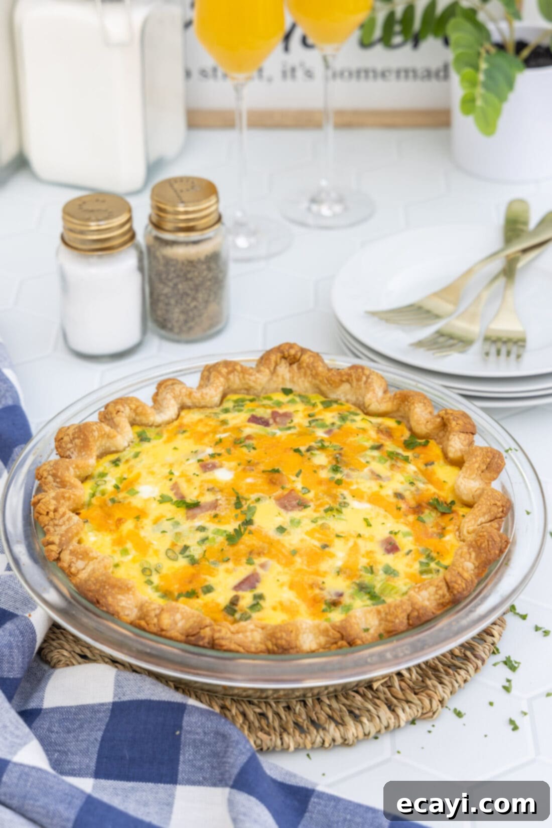 Savory Egg Custard Pie 12 A freshly baked Ham and Cheese Quiche in a pie pan, displaying its golden-brown crust and fluffy interior.