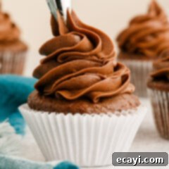 Velvety Chocolate Dream Frosting 11 Chocolate Buttercream Frosting